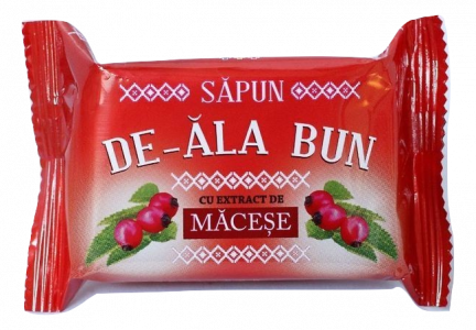 Sapun De-ala Bun   Extract De Macese 90gr